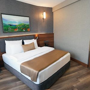 Kamer met een King Size Bed met de Toegang voor Gehandicapten